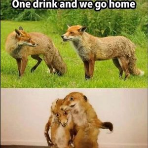 Meet your Posher, Juan f.